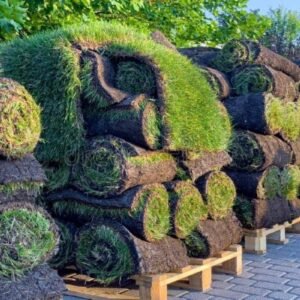 Pallet of Sod for Sale: 450 Sq Ft of Fresh-Cut Turf
