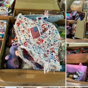 High Piece Count Novelty Pallet: Mostly New Items, Electronics-Loaded